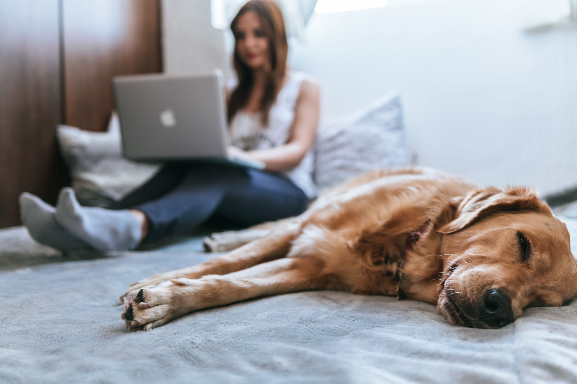 woman working on her laptop, sat on her bed next to her sleeping Labrador.