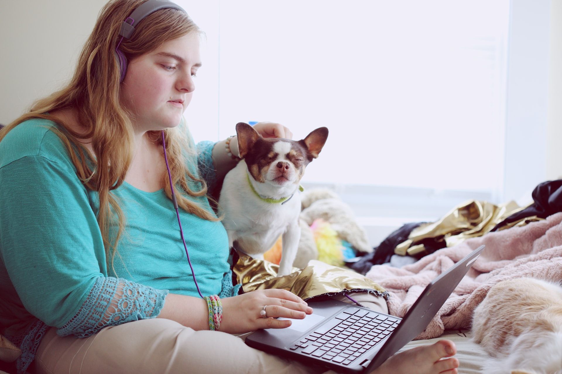 A remote worker sits on her bed with her laptop on her knees and headphones on. Her small dog is sat beside her and she is petting it.